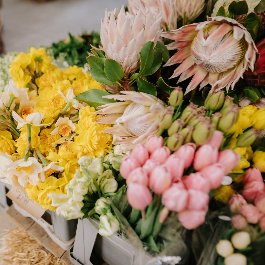 The Country Providore store has a selection of fresh vibrant flowers for every special occasion. Along with a range of gift ideas, gift hampers and cards to go with flowers for a special someone. Located close to Hamilton, Tamahere and Cambridge NZ.