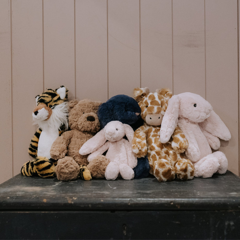 The Country Providore has a variety of Jellycats soft and cuddly toys to choose from for the little ones. These colourful characters are so soft and snuggly and comforting for a baby or child. They can quickly become their best friend.