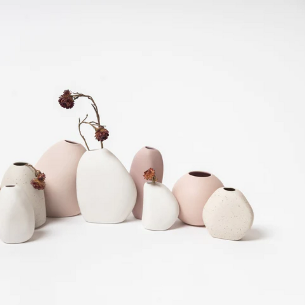 Ned Collection