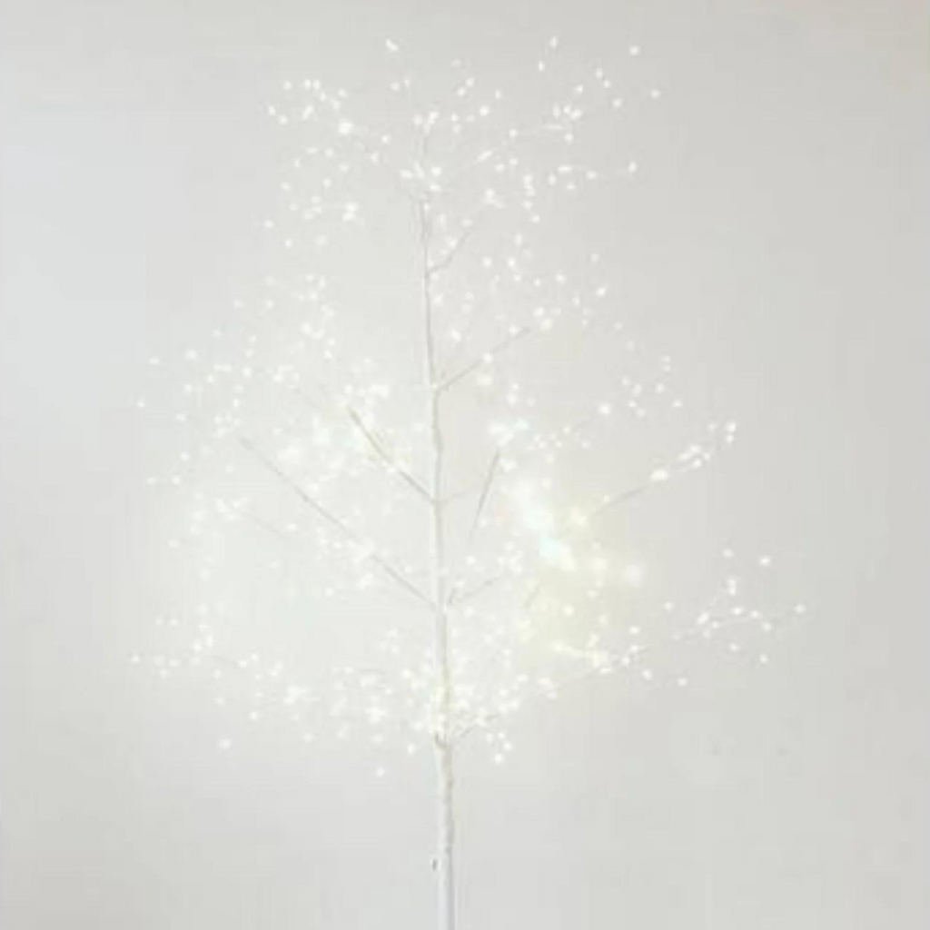 Seed Lights