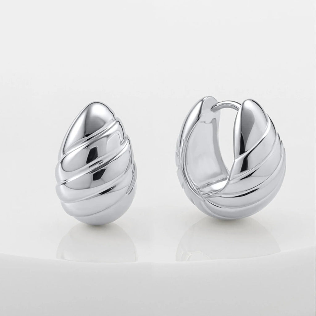 Pair of silver earrings on a white surface