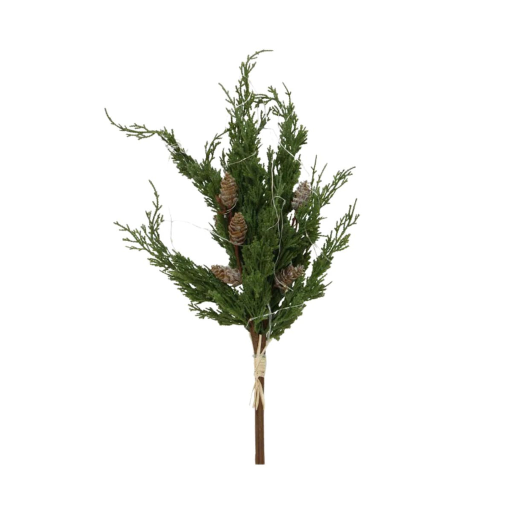 Bouquet of greenery with pine cones on a white background