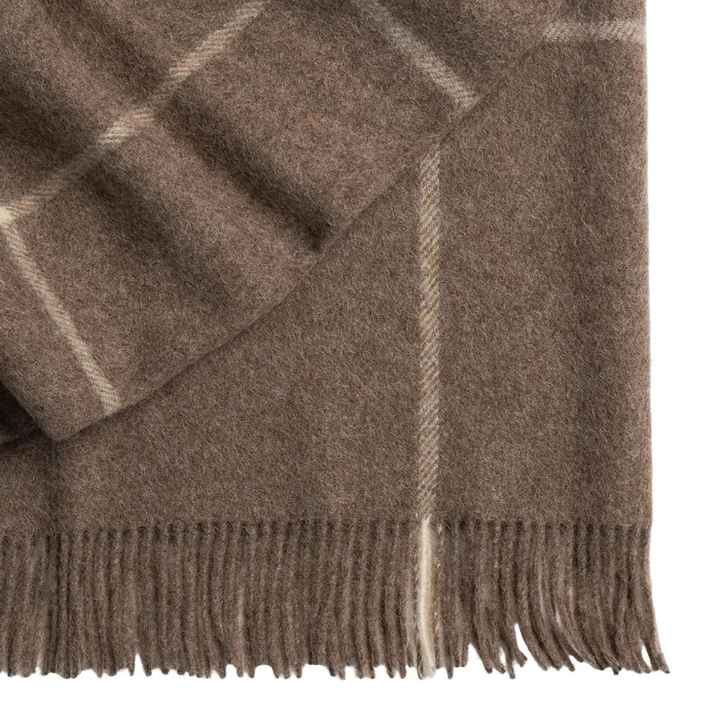 Brown plaid blanket with fringes on a white background