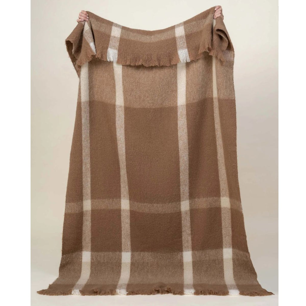 Brown and beige checkered blanket held up against a plain background