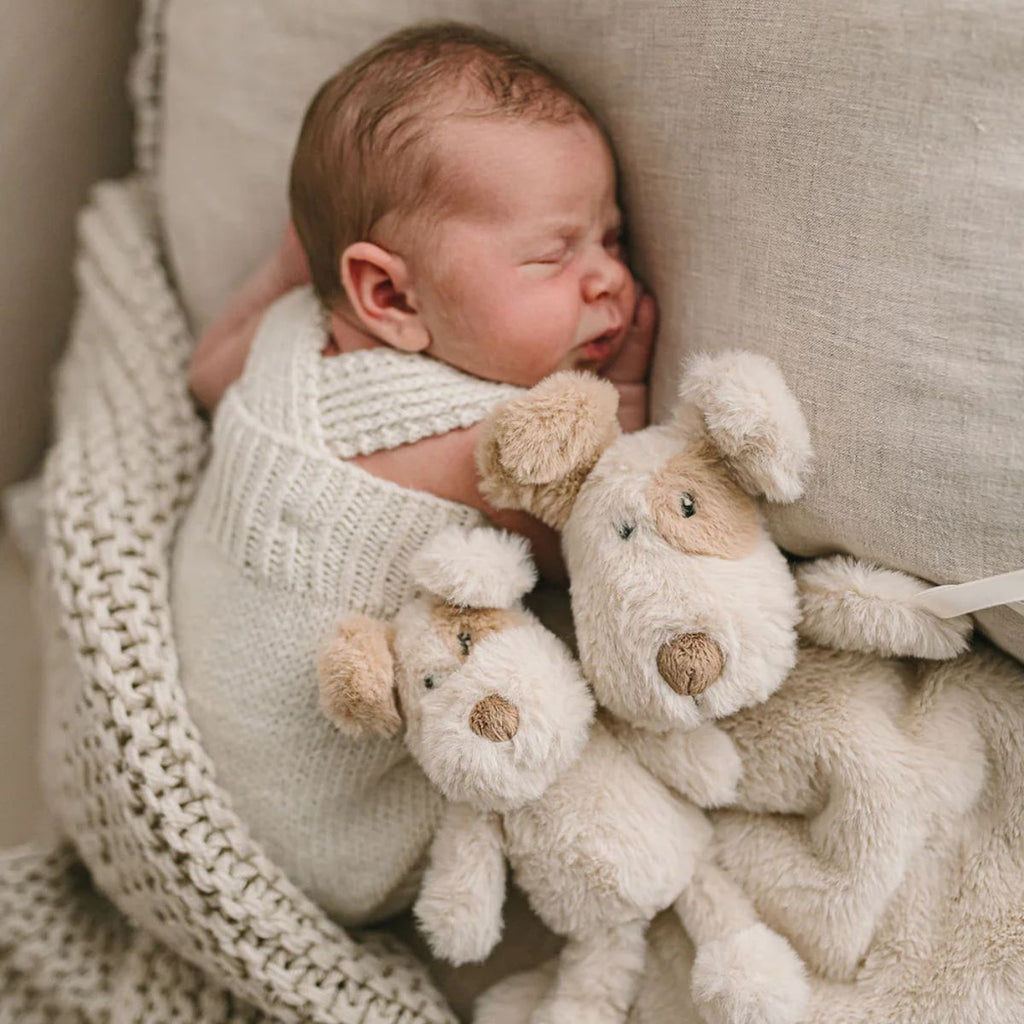 Newborn baby wrapped in a white blanket with two plush toys on a textured surface.