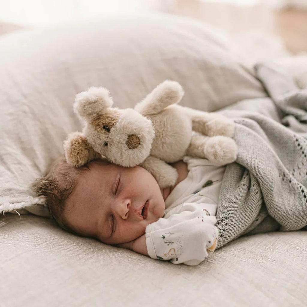 Newborn baby sleeping with a teddy bear on a soft surface