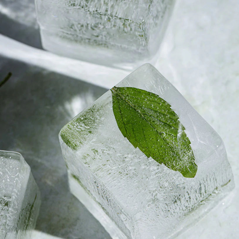 Ice cube with a green leaf inside, surrounded by more ice cubes.