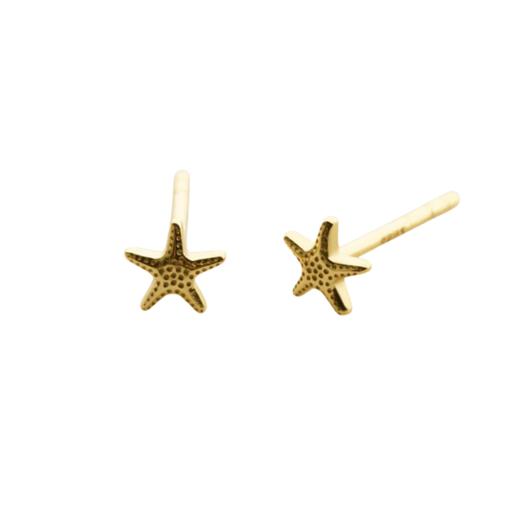 Gold starfish earrings on a white background