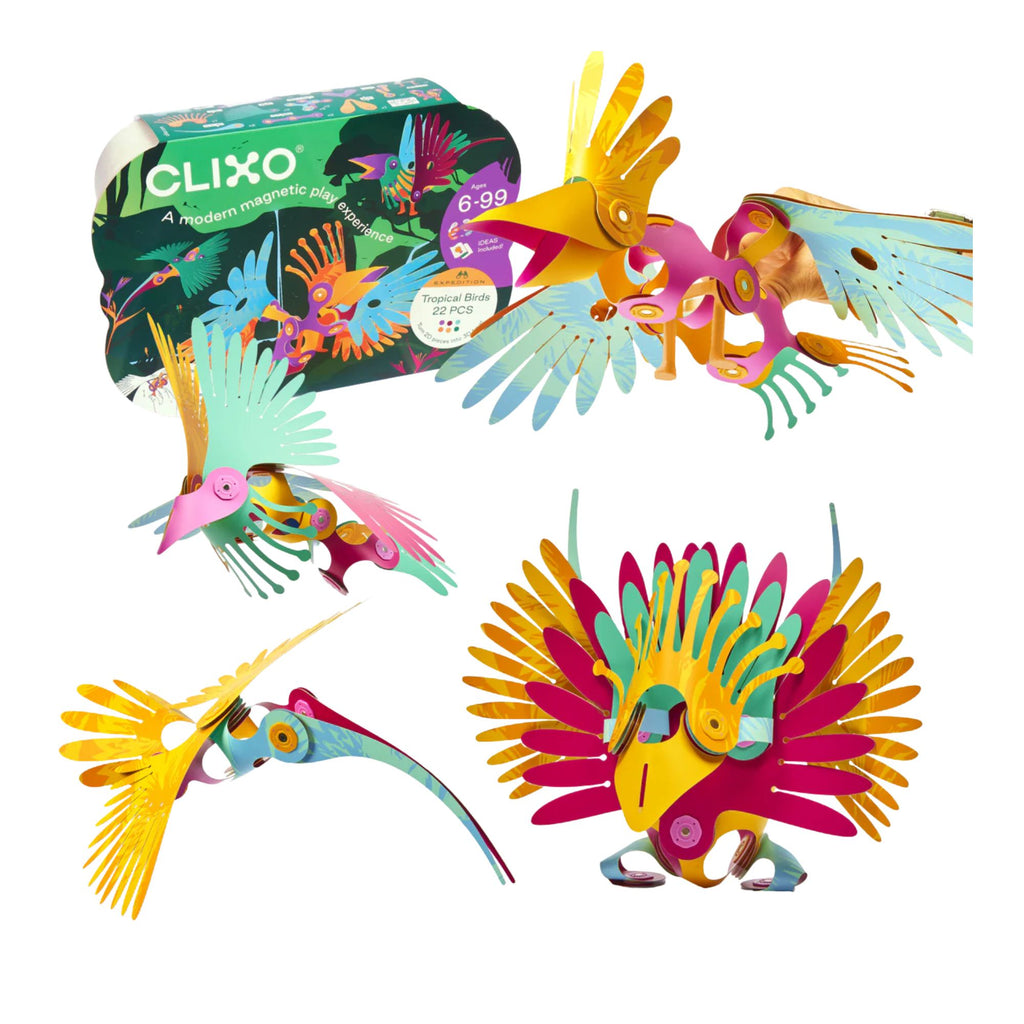 Clixo construction set of colorful birds with examples of what can be made