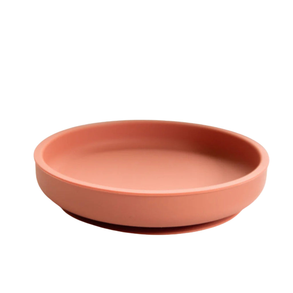 Terracotta-colored ceramic plate on a white background