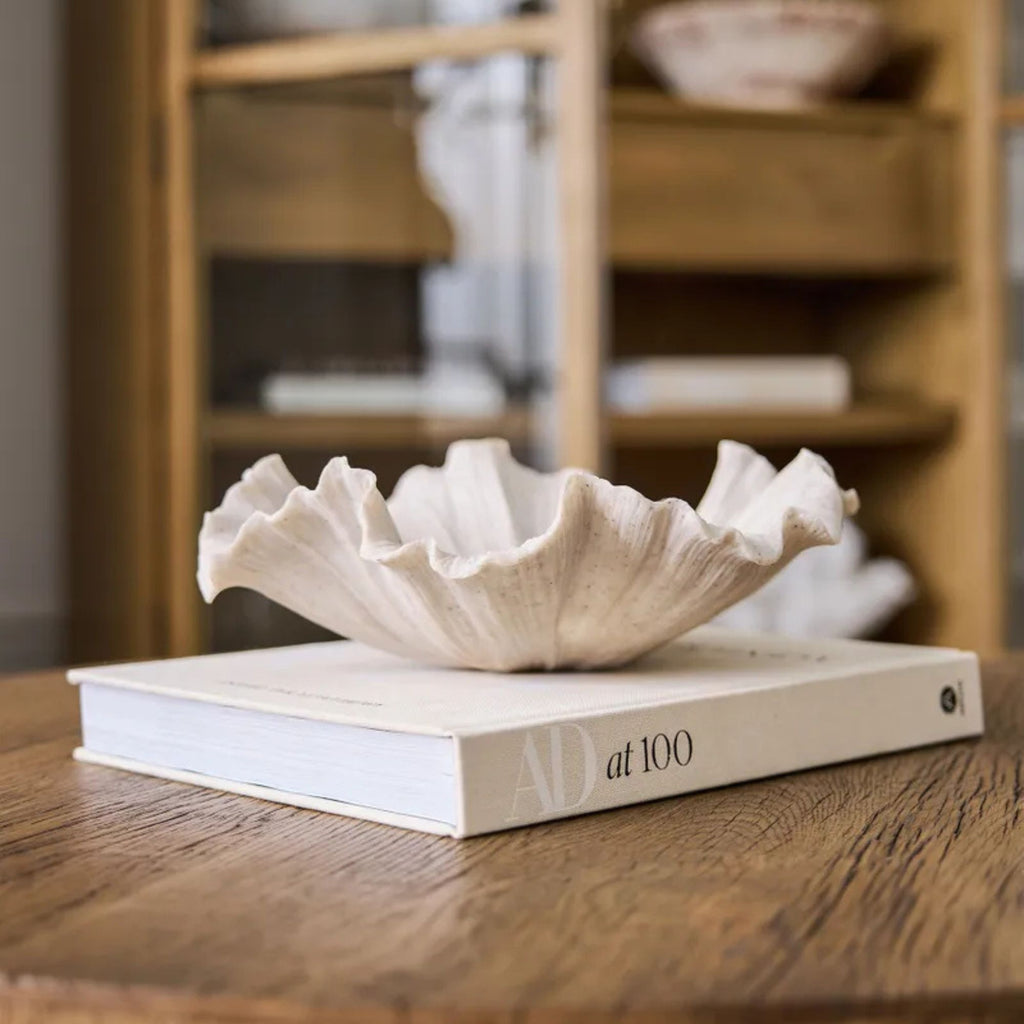 Decorative shell on a book with a blurred background