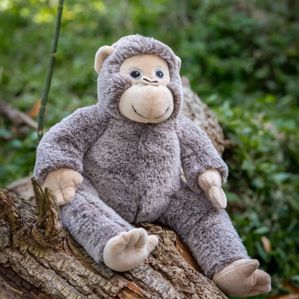 A plush toy resembling a monkey with a smiling face, long arms, and legs, in a sitting position in an outdoor setting