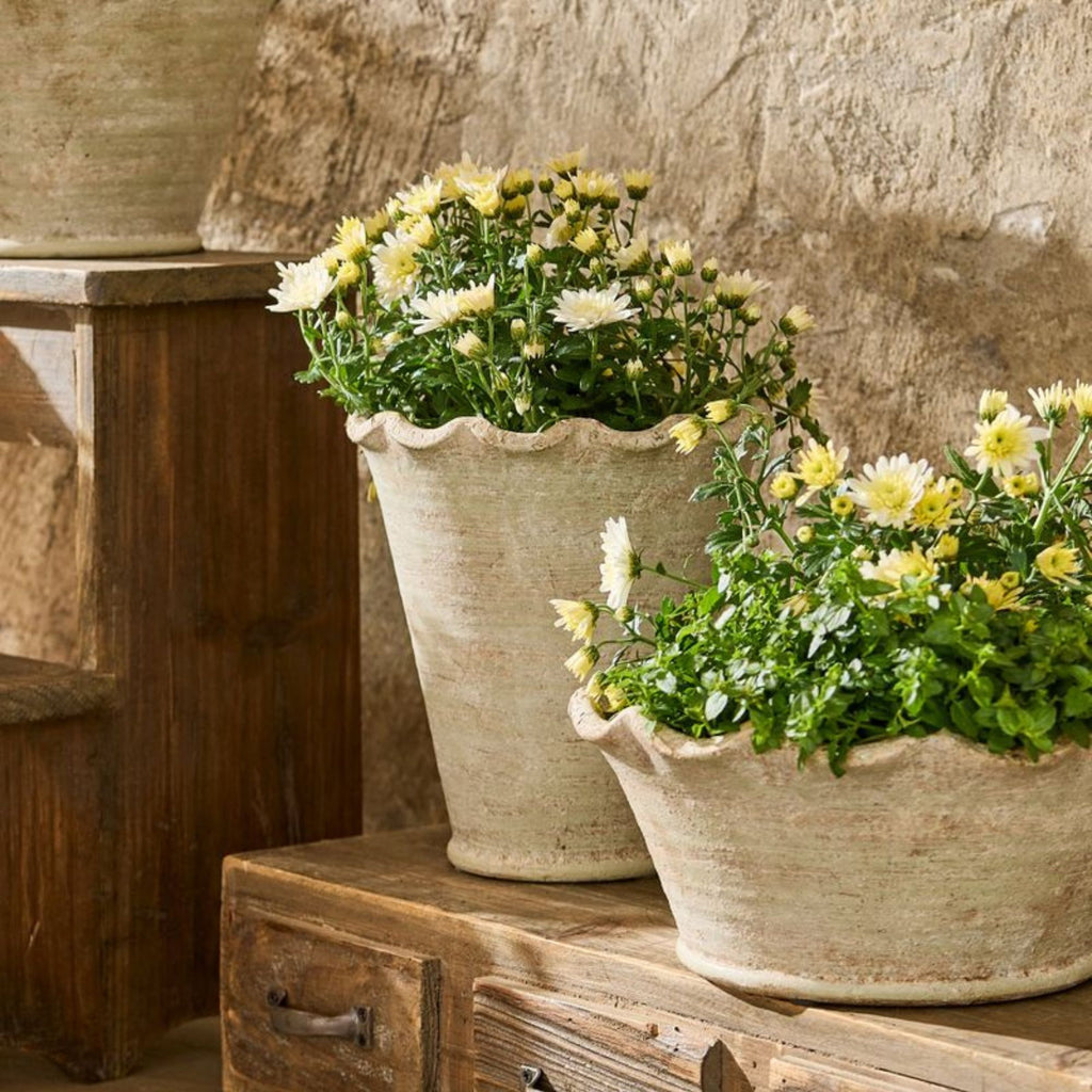 Two potted plants in rustic stone planters on a wooden surface with a stone wall background.