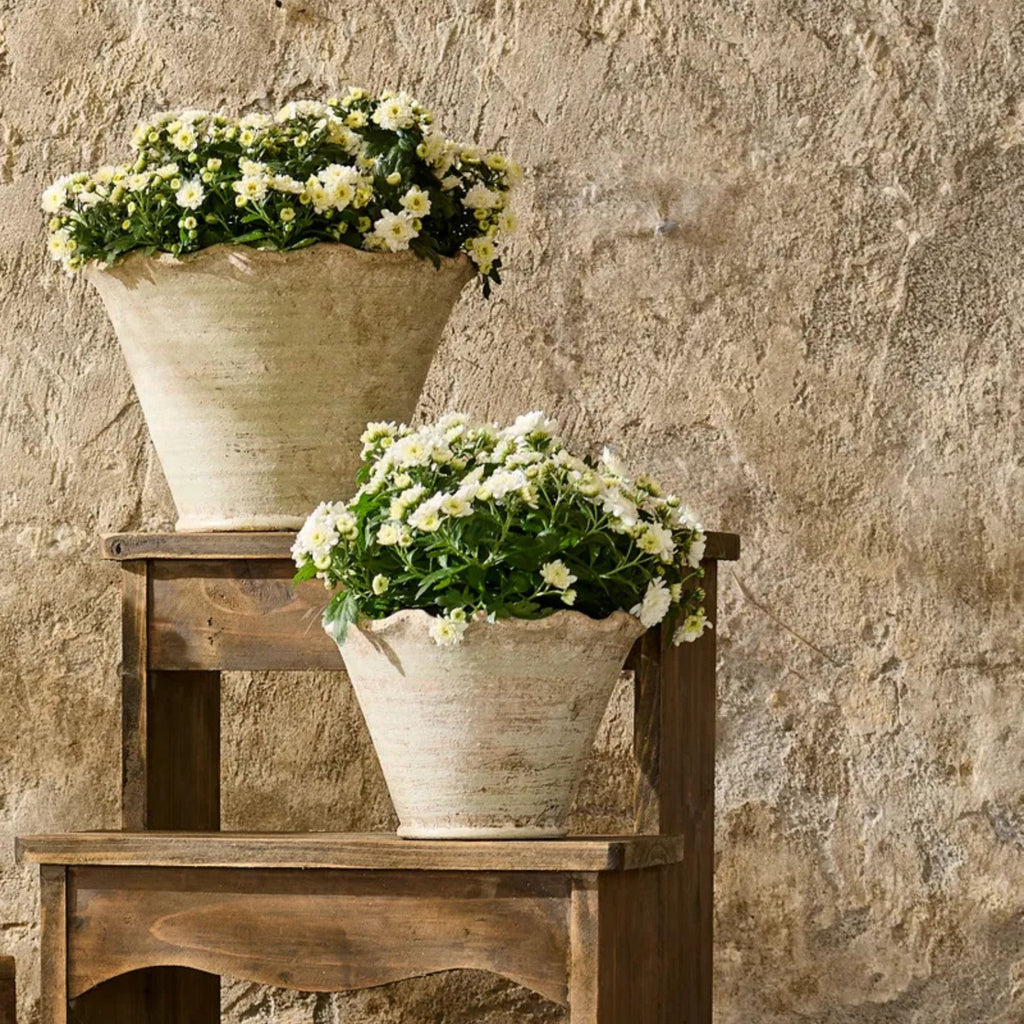 Two potted plants on a wooden bench against a stone wall.