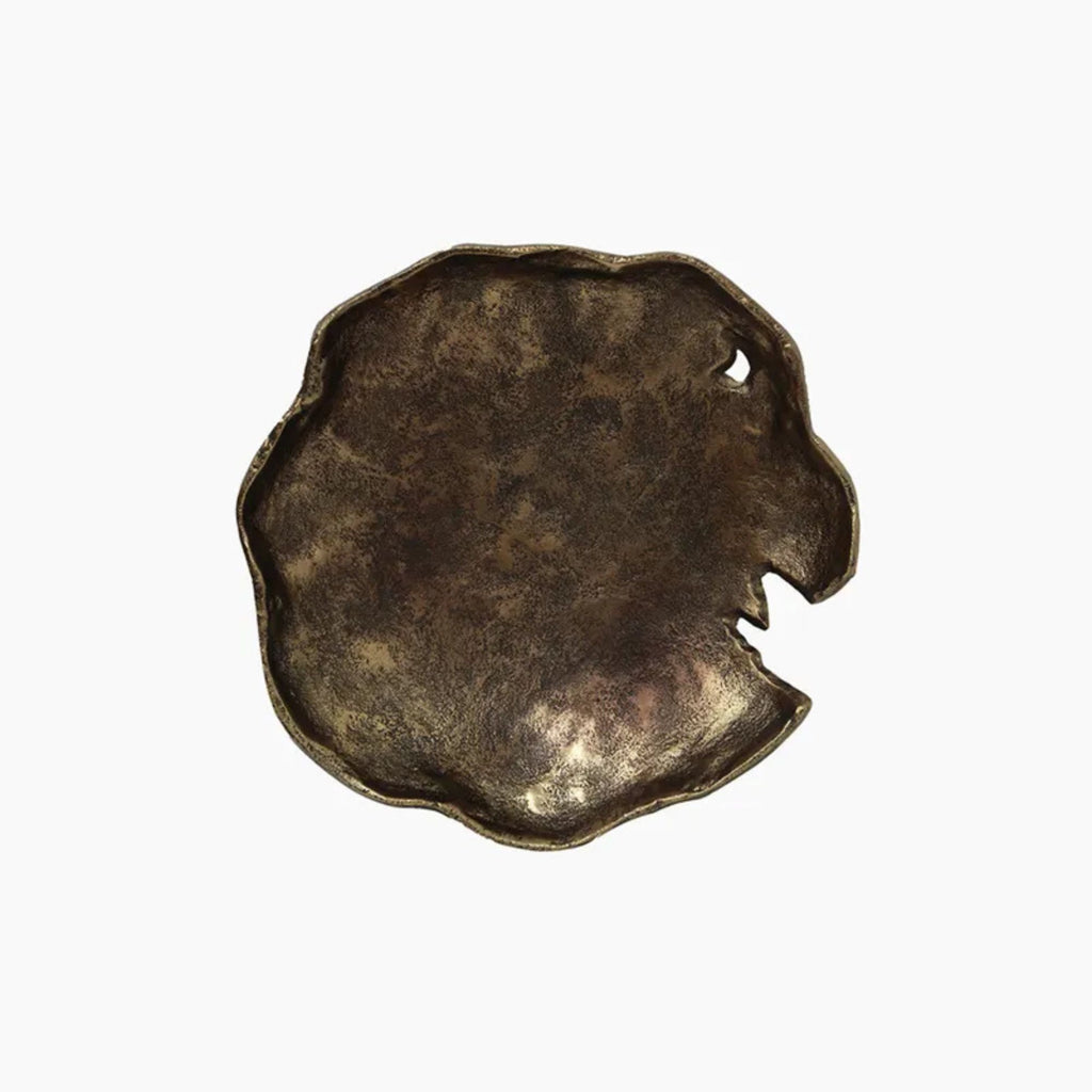 Bronze decorative plate on a white background