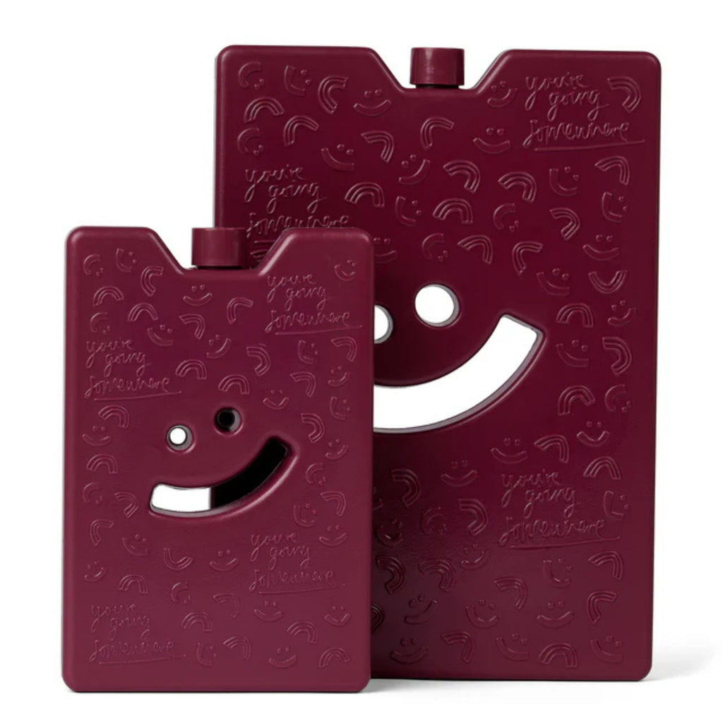 Two maroon plastic ice brick with smiley face designs on a white background
