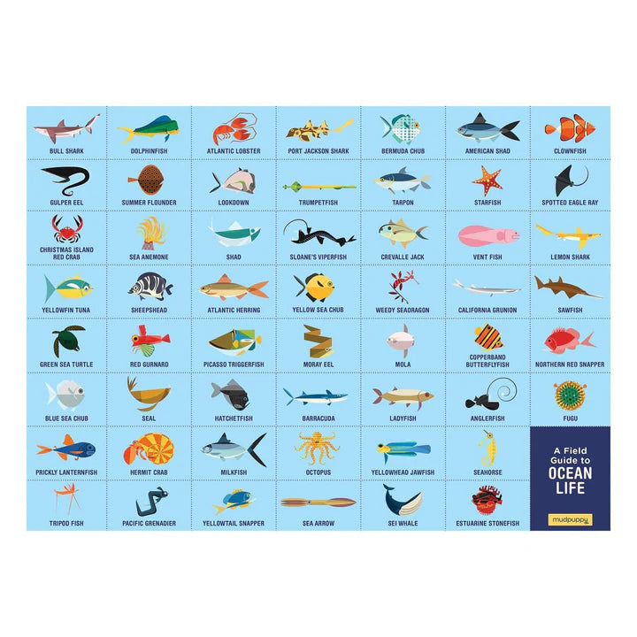 Chart of ocean life with icons and names on a blue background