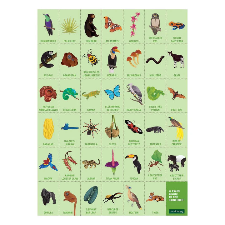 Educational chart with illustrations of animals, plants, and insects on a green background