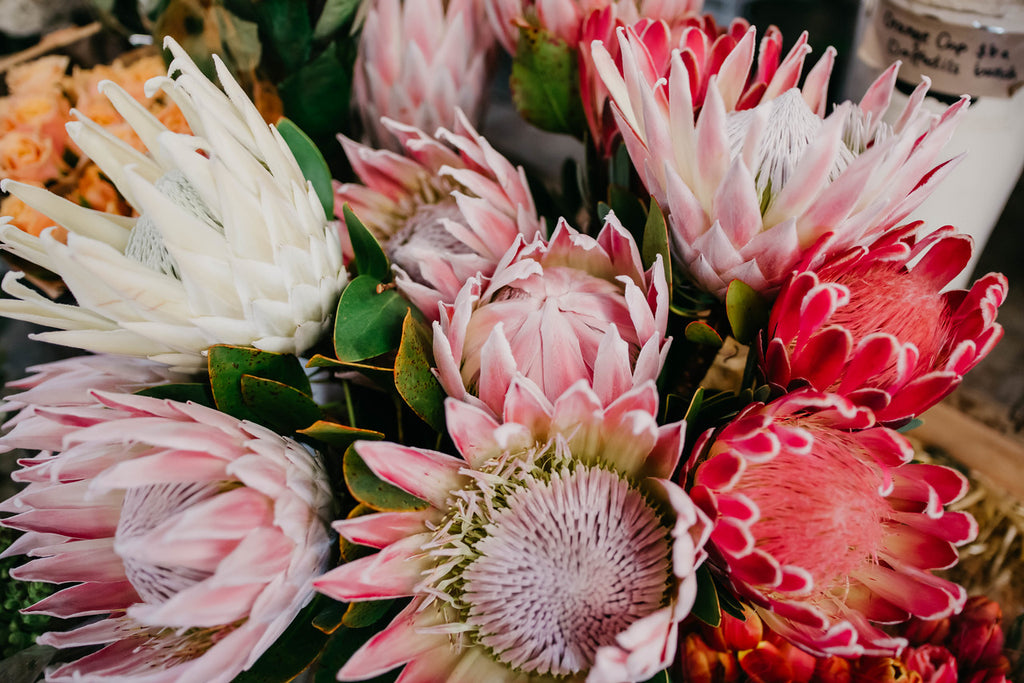 The Country Providore store has a selection of fresh vibrant flowers for every special occasion. Along with a range of gift ideas, gift hampers, gift boxes and cards to go with flowers for a special someone. Located next to Punnet Café by Hamilton, Tamahere and Cambridge NZ.